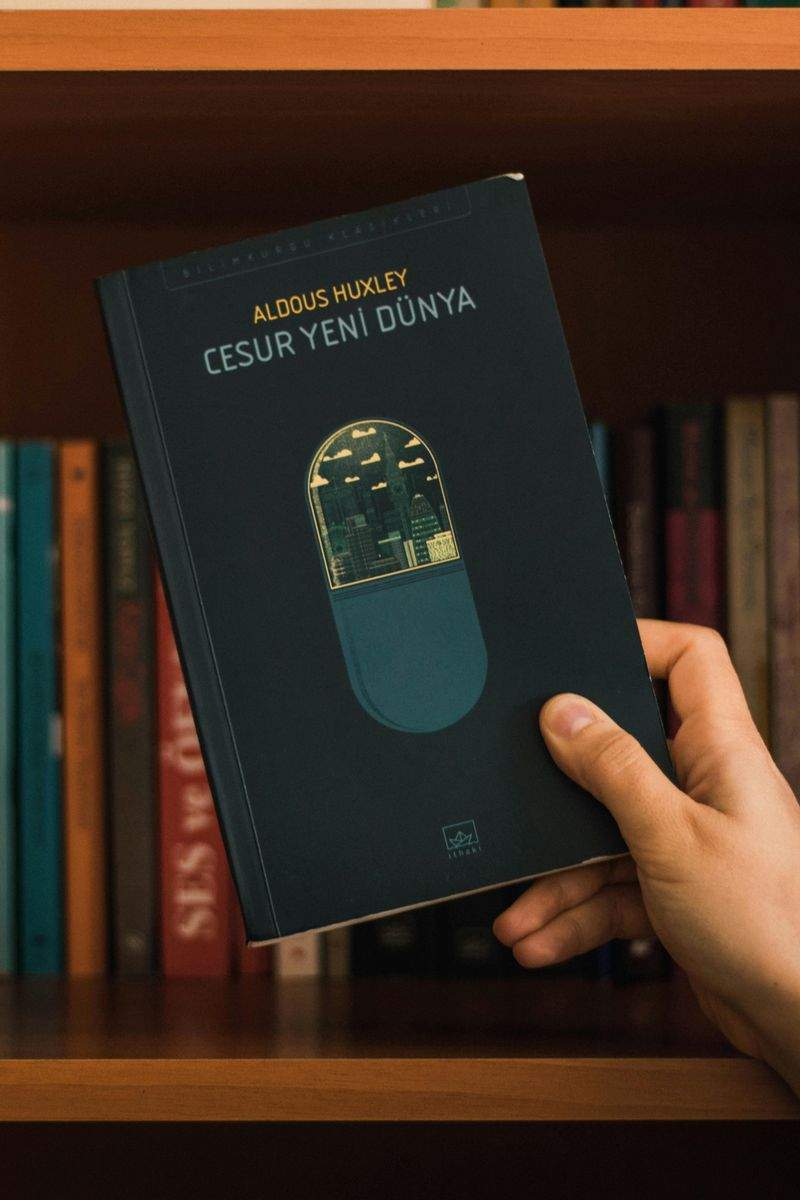 DialoguePulse Conseil 6